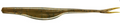 Yum Break'n Shad 5'' Green Pumpkin 10pk