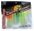 Leland Slab Magnet 2.5'' Glow Colors 8pk