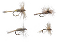 Cortland Assortment Dry Adams 4pk