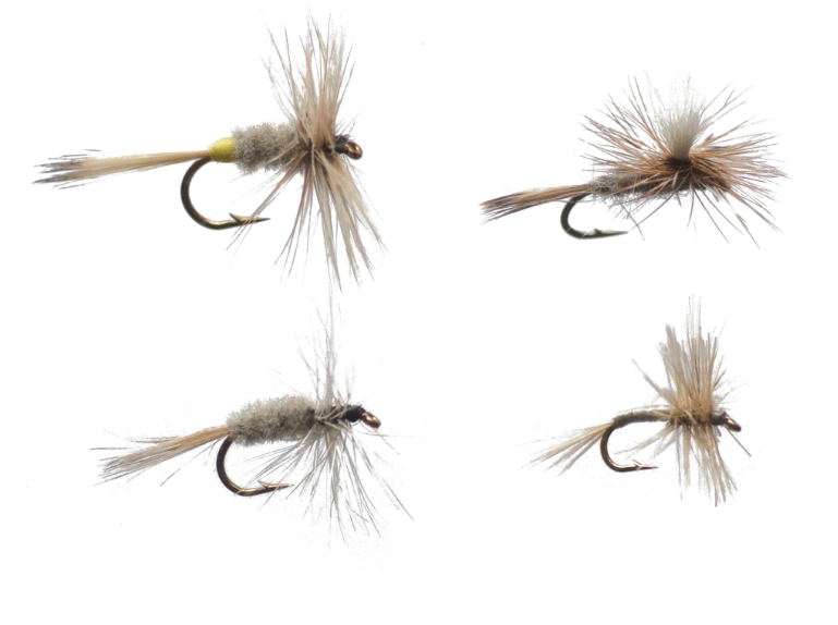 Cortland Assortment Dry Adams 4pk