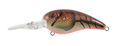 SPRO rkcrawler 55 mud bug