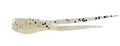 Bobby Garland Split Tail 2'' Pearl Salt & Pepr 15pk