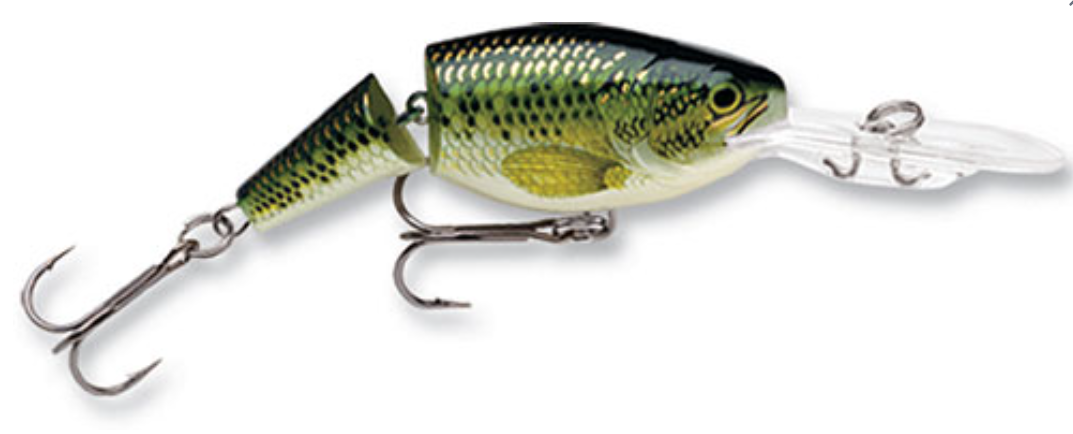Rapala Jointed Shad Rap, 1/4oz 2'' Baby Bass