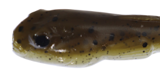 Big Joshy Goby Bait 3.5'' Green Pumpkin Bug 5pk