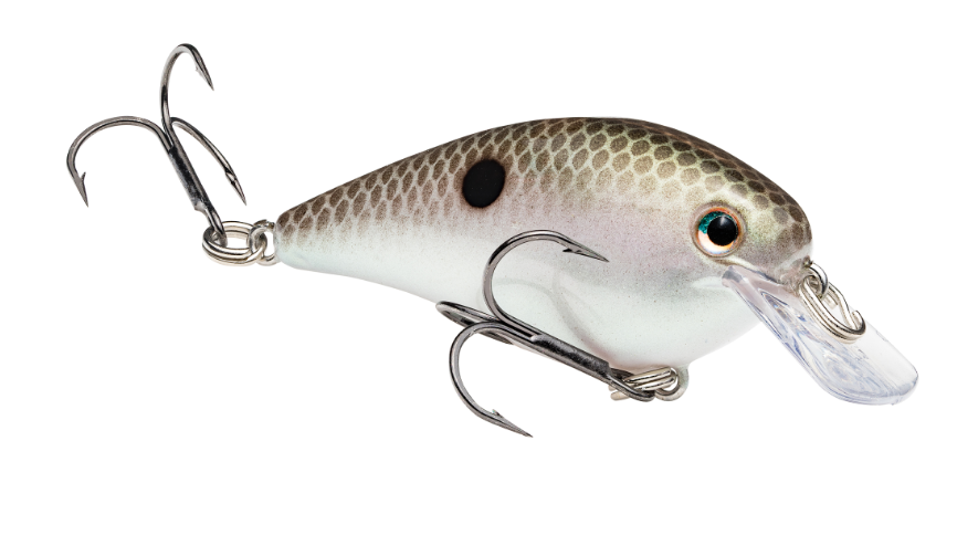 Strike King KVD Square Bill 1.0 Green Gizzard Shad