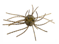 Strike King Tumbleweed Fltng, 3'' Green Pumpkin 4pk