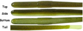 Roboworm FAT Straight Tail 6'' Pumpkin Punisher 8pk