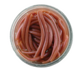 Berkley GulpAlive Angle Worm, 1'' Natural 60pk