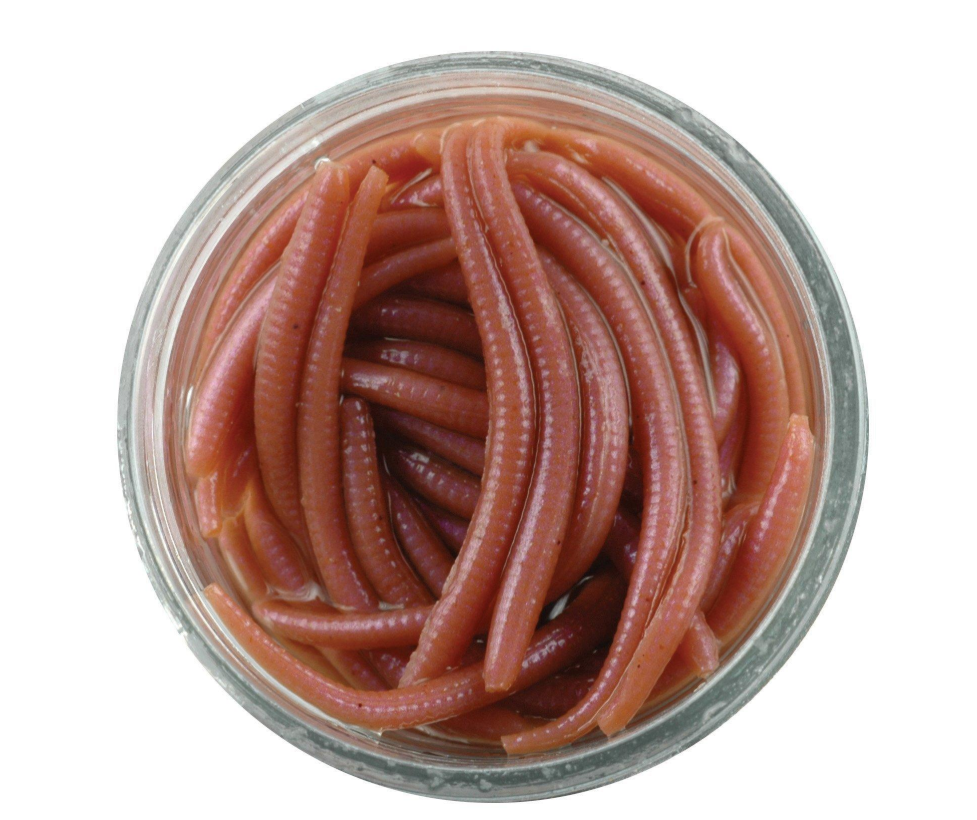 Berkley GulpAlive Angle Worm, 1'' Natural 60pk