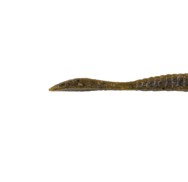 Berkley PB MxSc Flat Worm 3.6'' Green Pumpkin 10pk