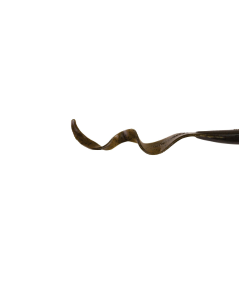 Berkley PB Power Worms 12'' Green Pumpkin 5pk