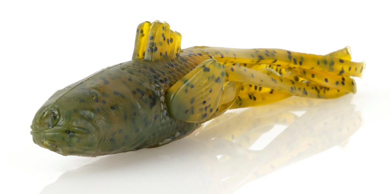 Savage Toughtec NED Goby 2.75'' Green Pumpkin 5pk