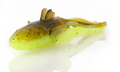 Savage Toughtec NED Goby 2.75'' GP/Cht 5pk