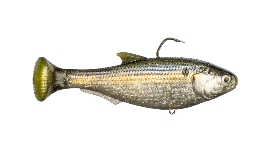 Z Man Shadtron LT Fast Sink, 6'' Threadfin Shad