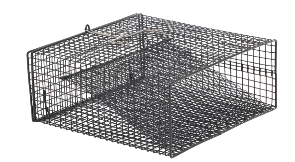 Frabill Flat Bottom Cat Trap Black