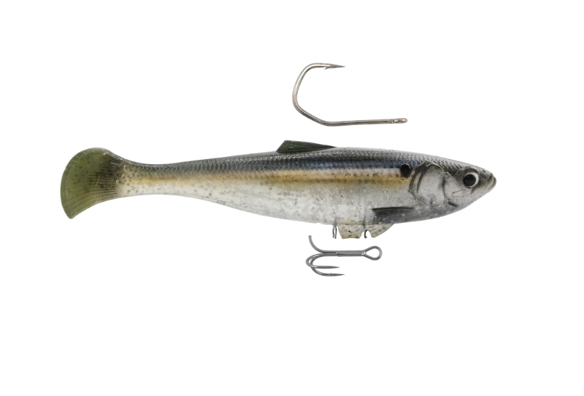 Z Man Swag LT 6'' Threadfin Shad