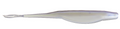 Zoom-Salty Super Fluke Albino