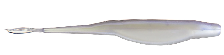Zoom-Salty Super Fluke Albino