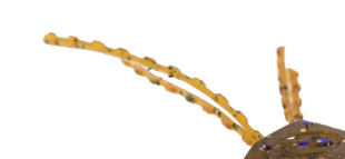 Strike King Tumbleweed Fltng, 3'' Smallmouth Candy 4pk