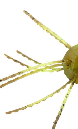 Strike King Tumbleweed Fltng, 3'' Summer Craw 4pk